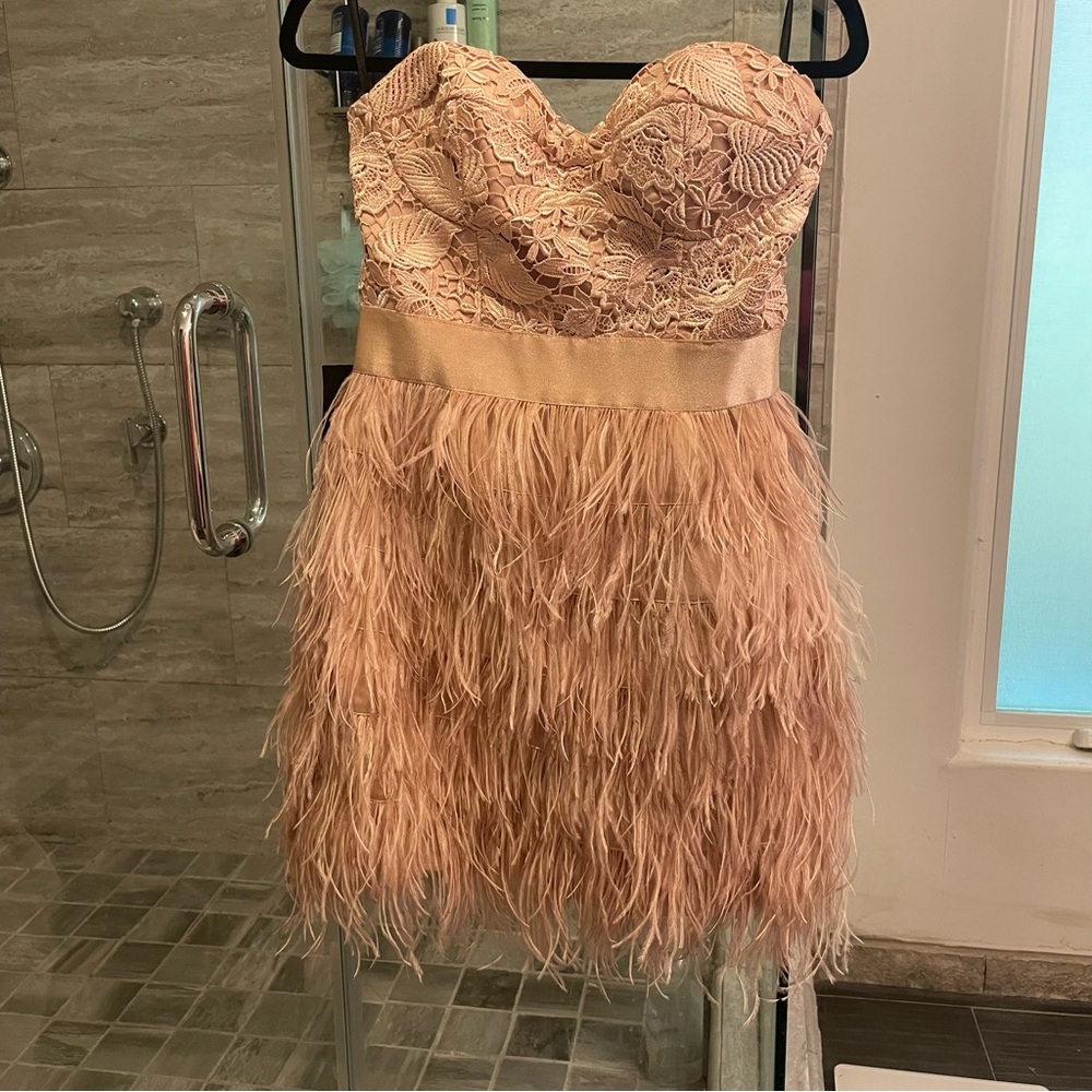 Bebe Isis feather dress